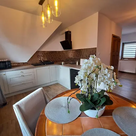 Hawran Проживание в семье Зомб